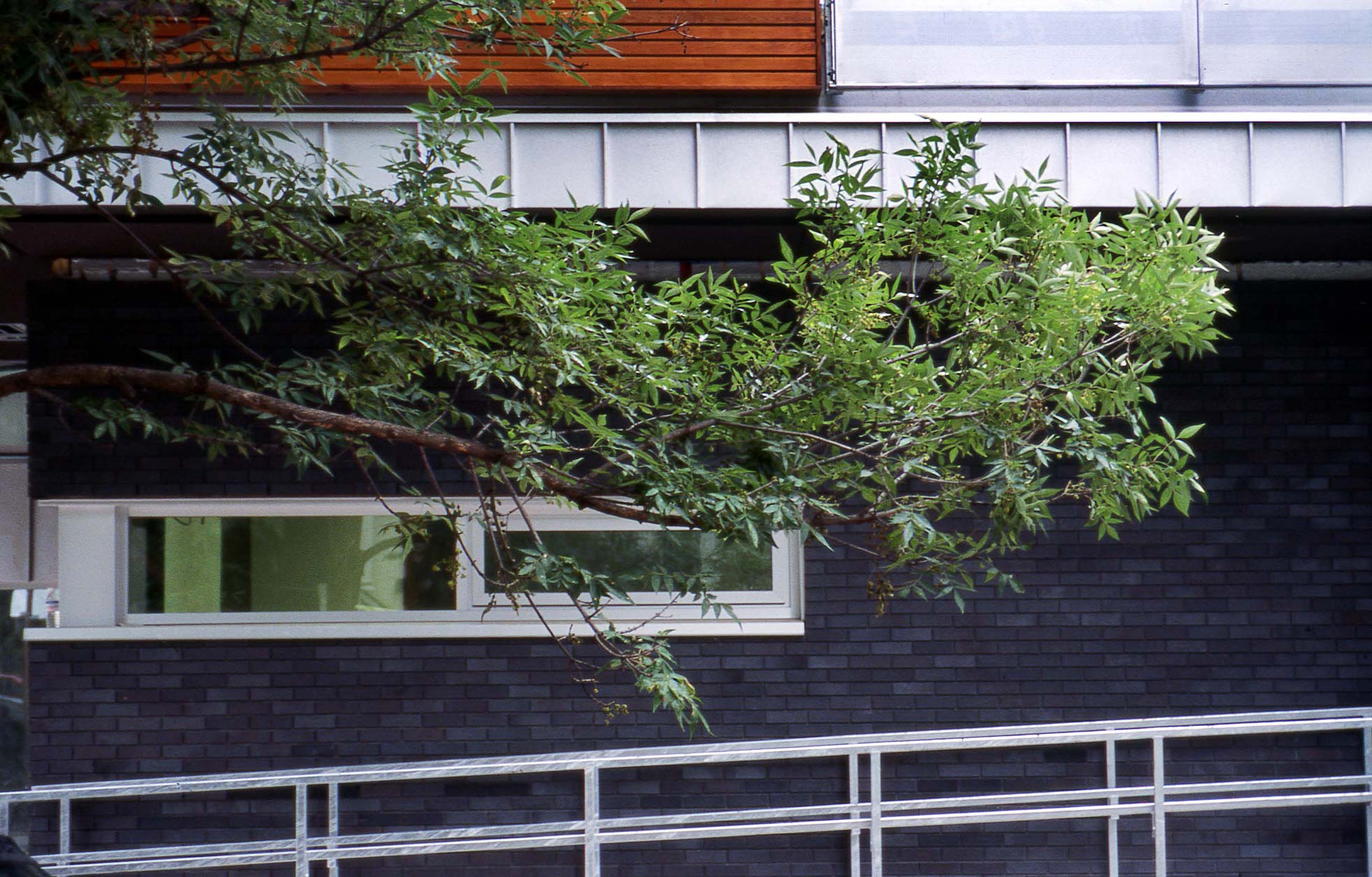 Early Learning Centre, University of Toronto