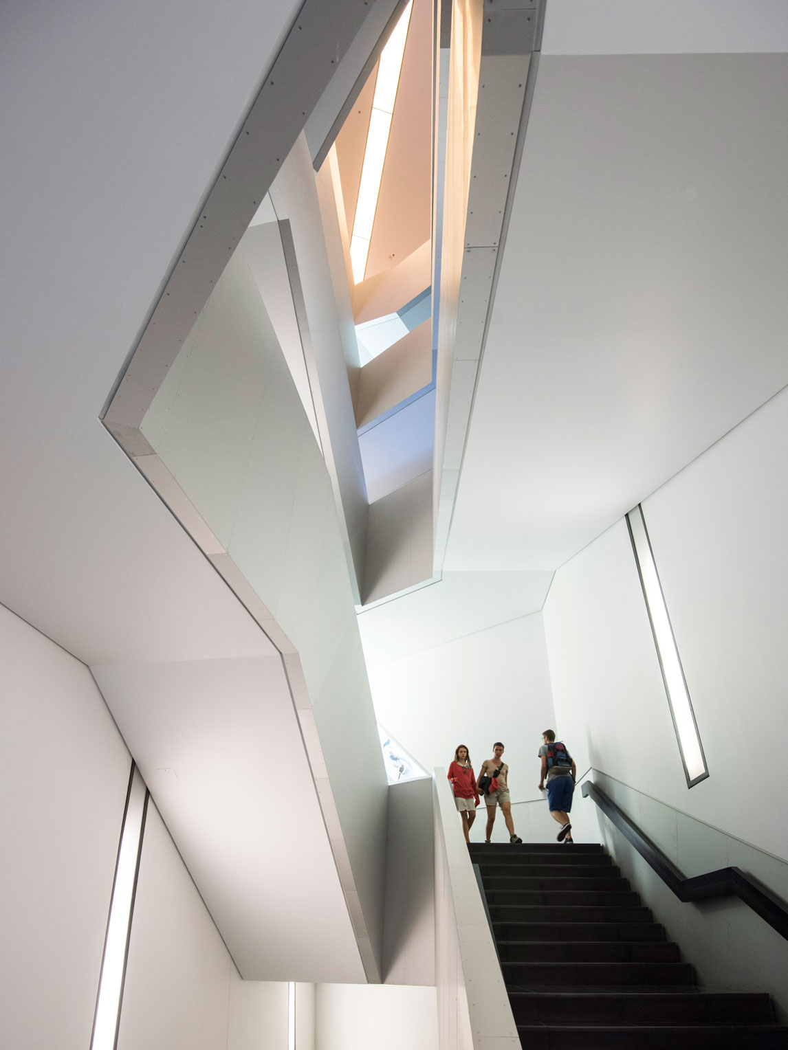 Michael Lee-Chin Crystal, Royal Ontario Museum