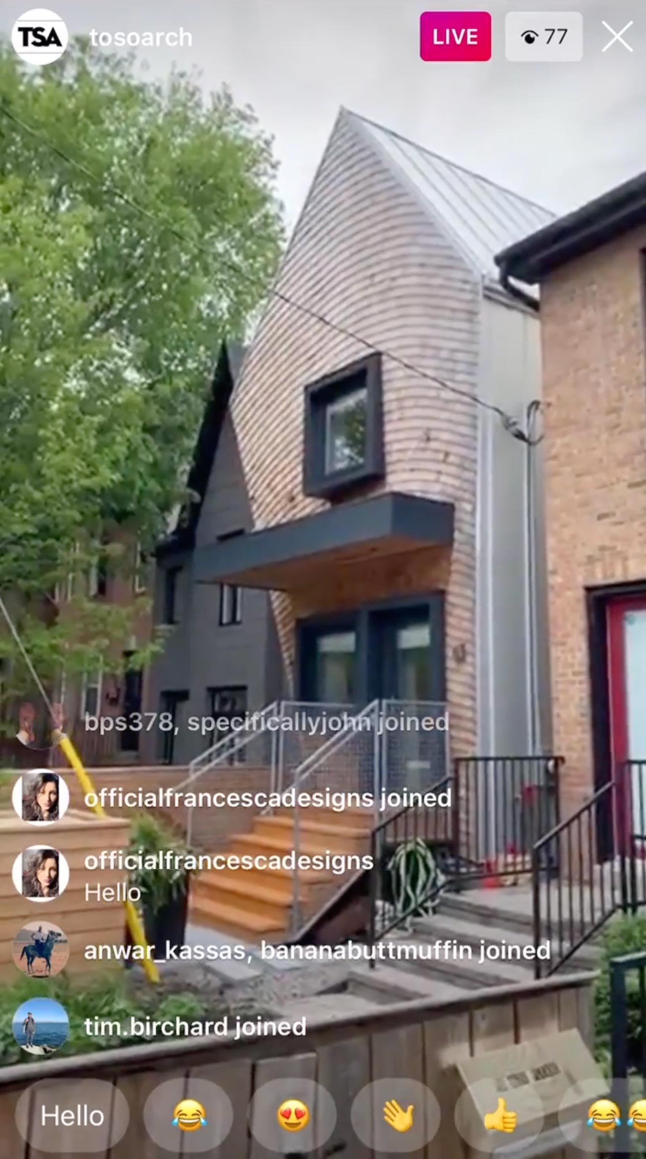 TSA Curvy House