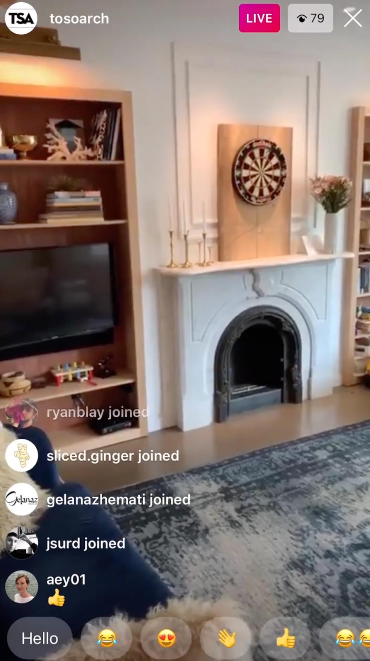 TSA Curvy House